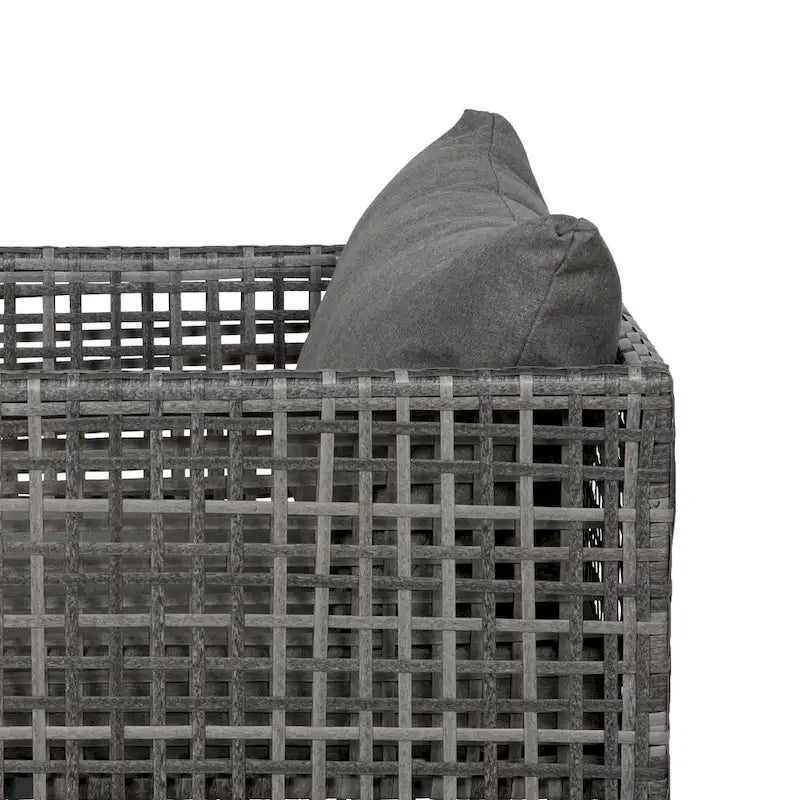 Audy Mobilier de jardin en rotin 4 pièces avec coussins