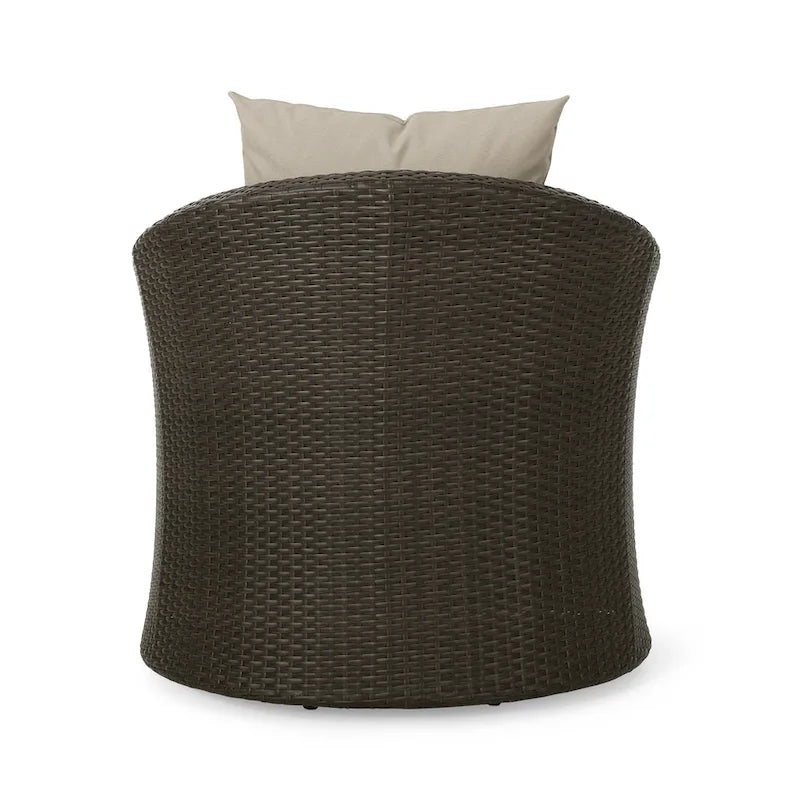 Fauteuil club pivotant Darius en osier et aluminium (lot de 4) par Christopher Knight Home