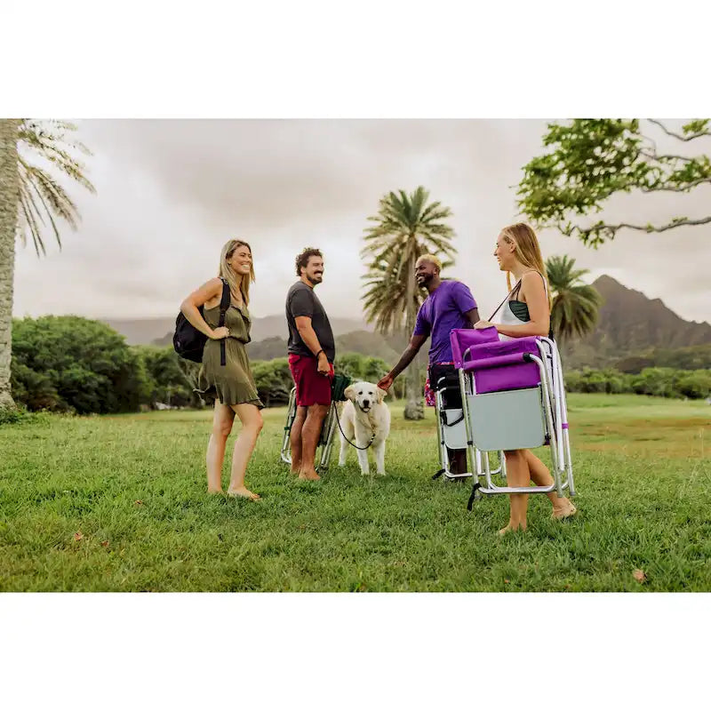 Chaise de sport portable pique-nique violette